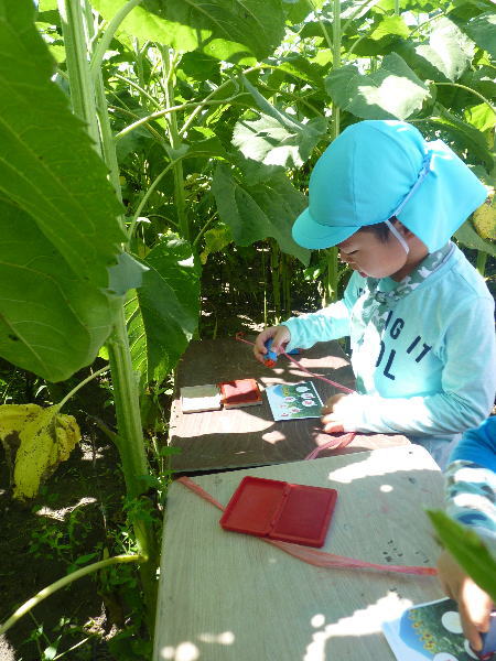 zou_w_30081