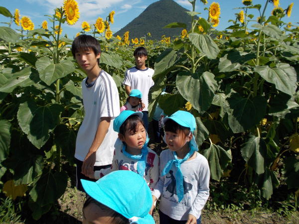 zou_w_30082