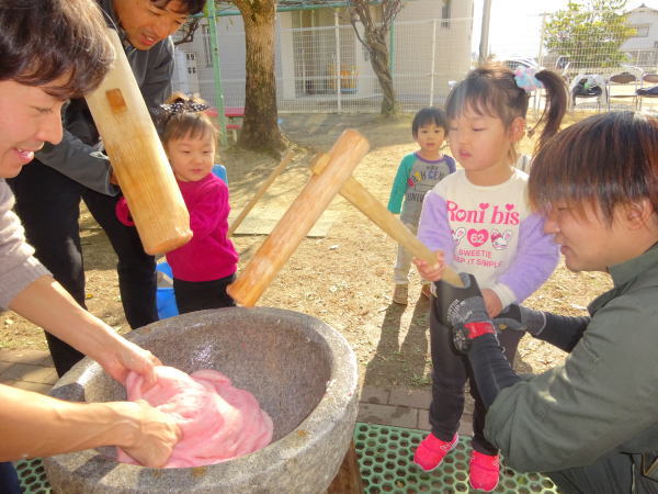 risu_w_30124