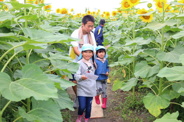 zou_n_01086