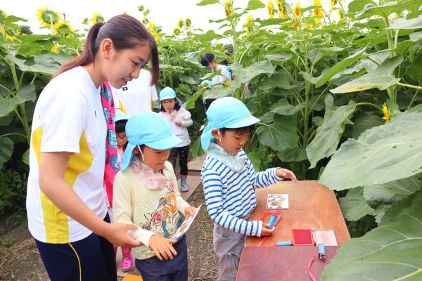 zou_n_01087_1