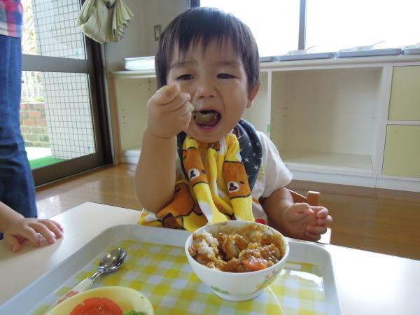 hiyoko_n_01101_1