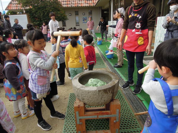 zou_n_02011