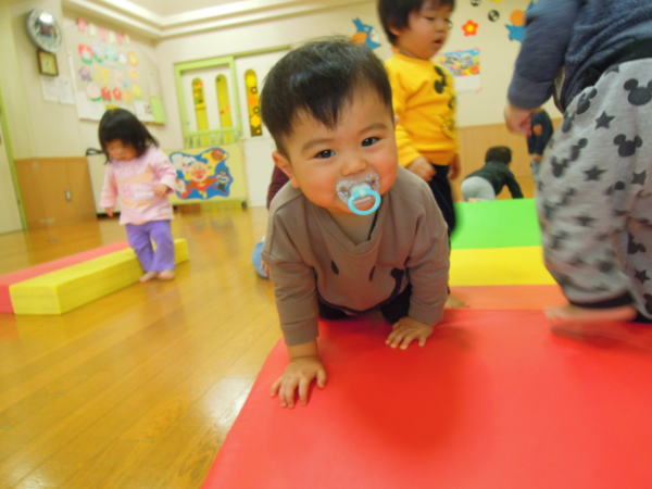 hiyoko_n_02023_1