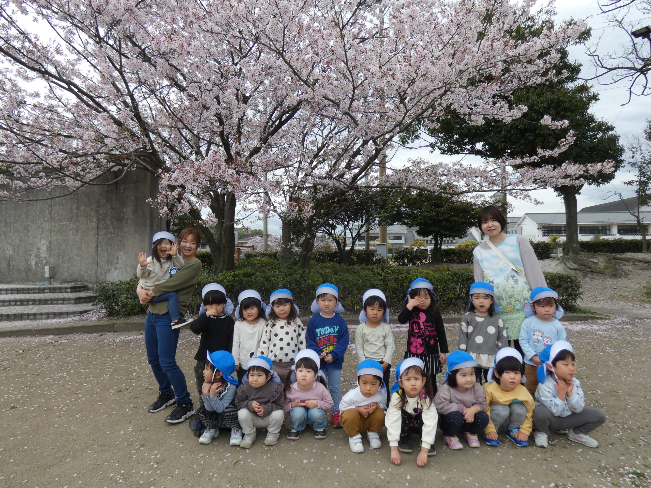 みんなで桜を見に行ったよ！！
