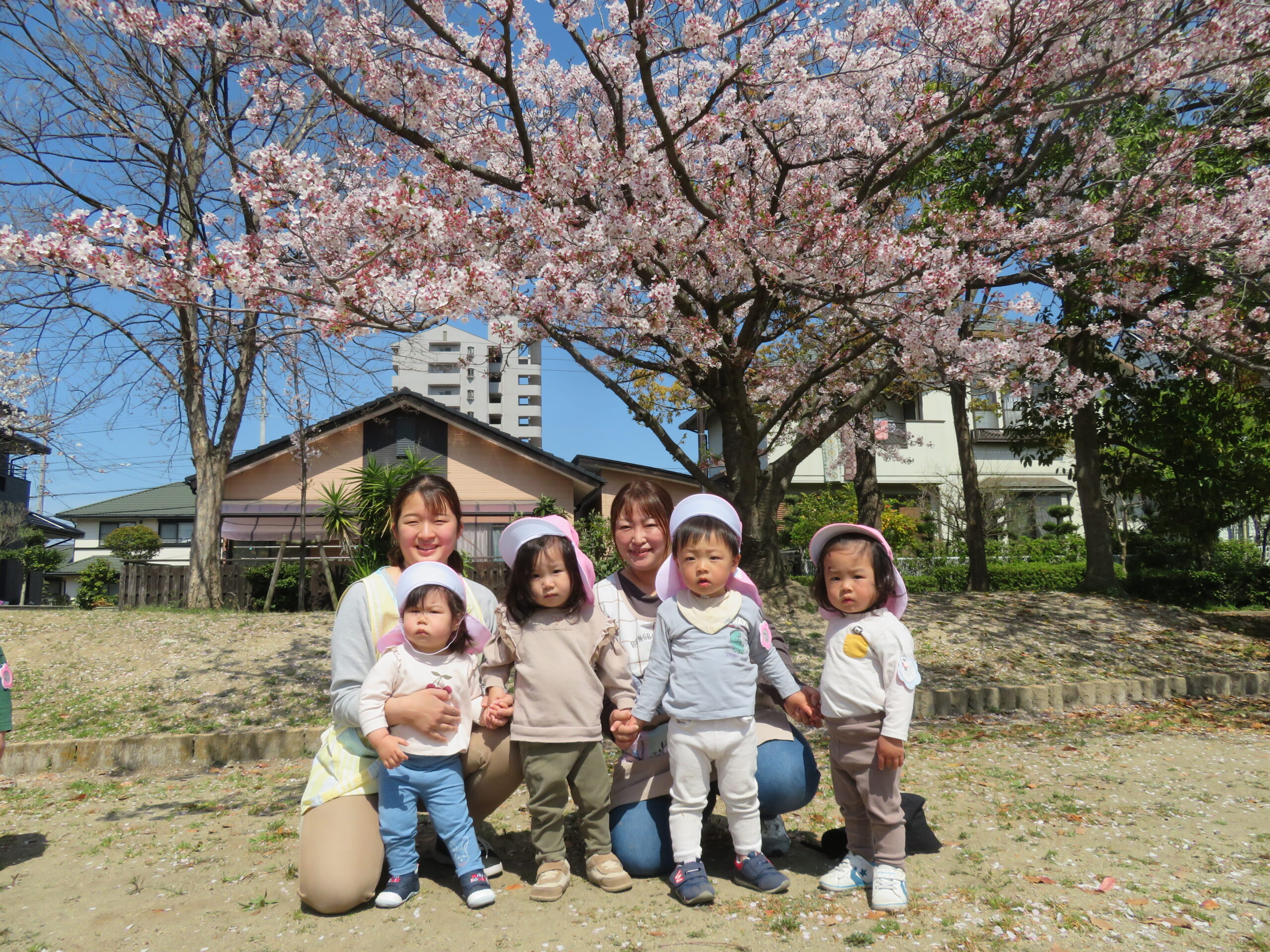 中央公園に桜を見に行ったよ！